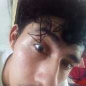 wilis86