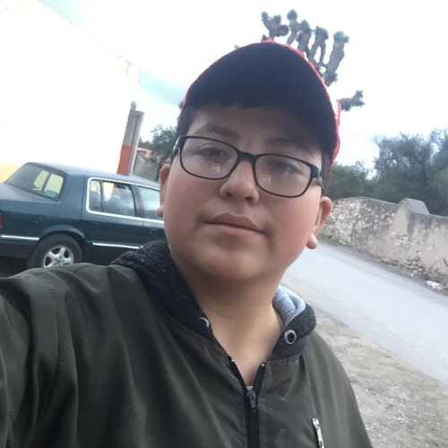 carlosfmoczav638