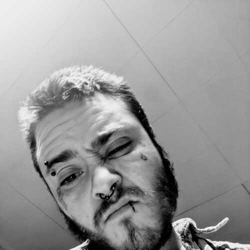Transdude2019