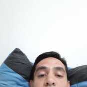 joss313
