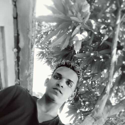 darielro778
