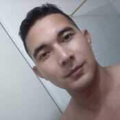 Elit236