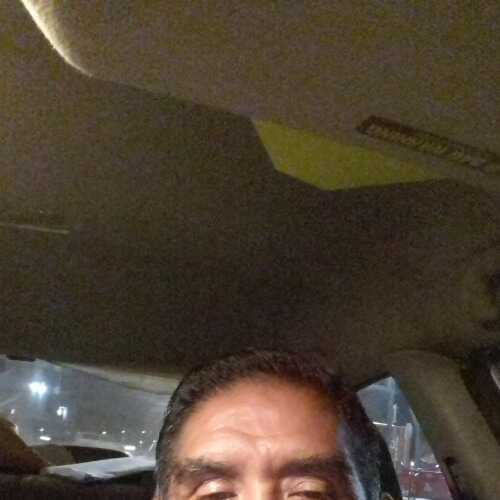 Conejo2367
