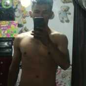 linar313