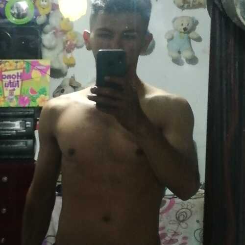 linar313