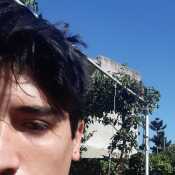 felixsalva347