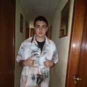Animal19