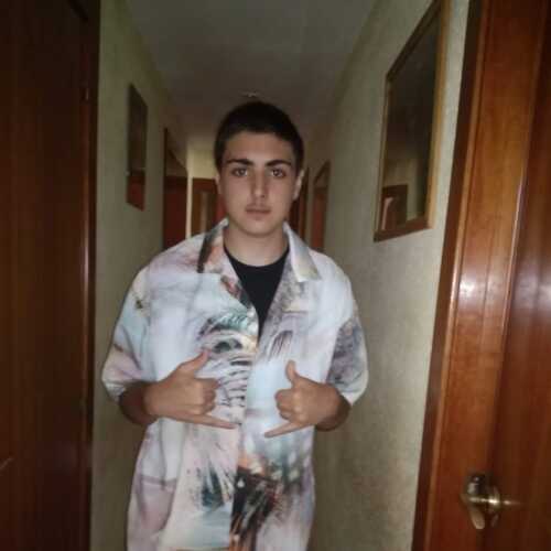 Animal19