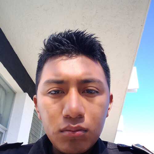 gozito