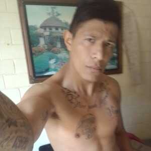 arandyar631upspm