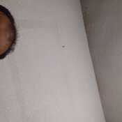 jamilahmedchowdh224