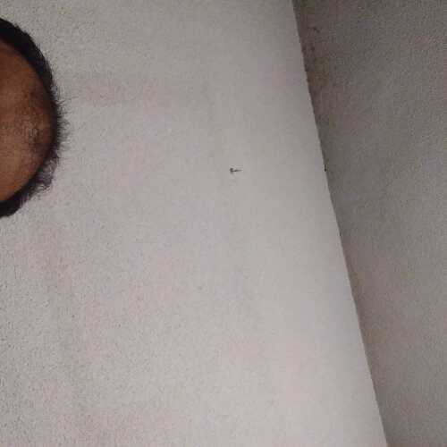 jamilahmedchowdh224