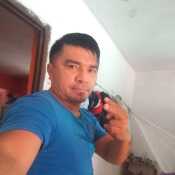yank276
