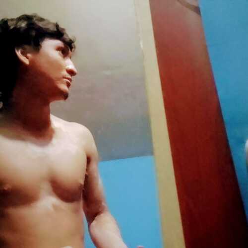 alexinocen595