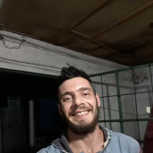 elarty393