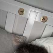 InquisitiveHiker66a7db