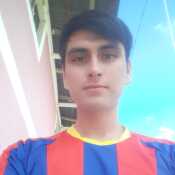 elygat397