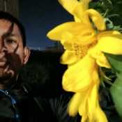 Jhann12