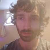 DominantBull