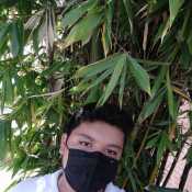 rodtroll24