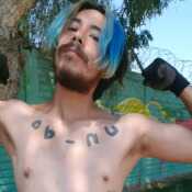 Visel