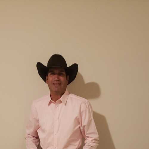 cowboyhor071