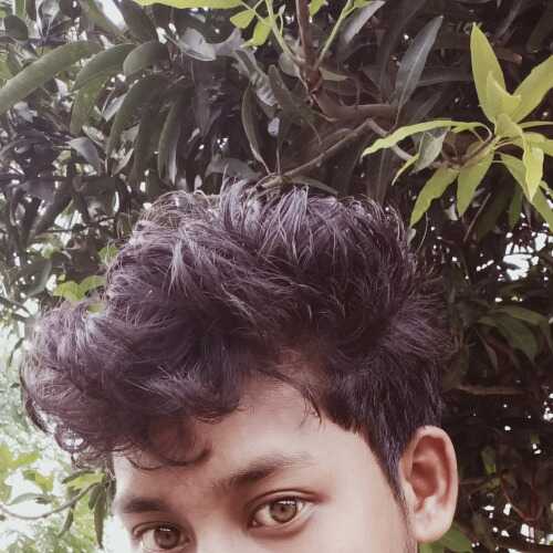 mastafijurraha231