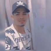 elvis281