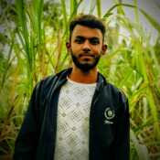 Zahid