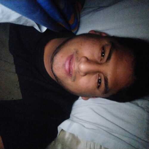 Cenizo1293