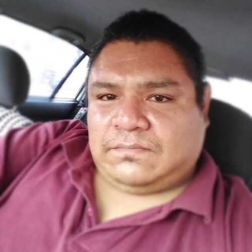 cachorro696