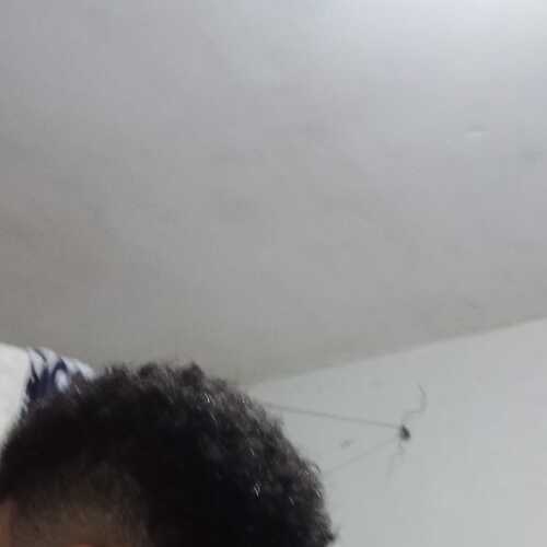 Esteva22