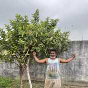 pk859DehraDun