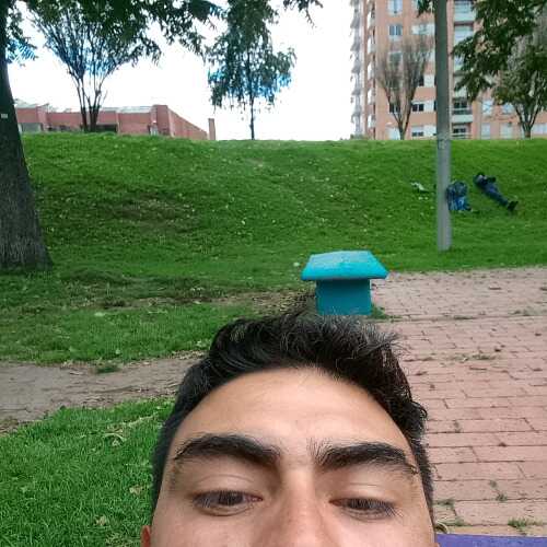 Flaco8612
