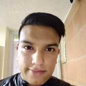 braya376