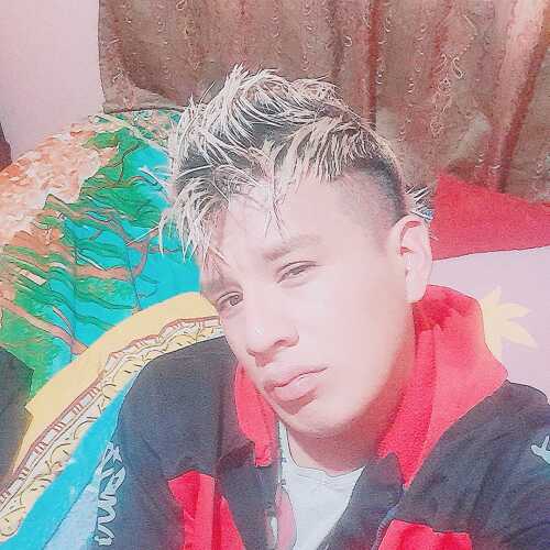 djz766