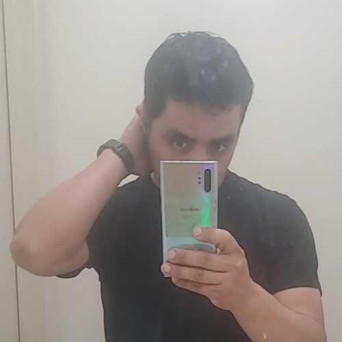 pelusol527