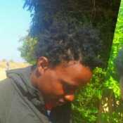 nysh24