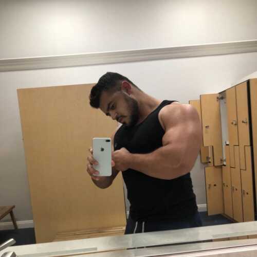 Alphabodybuilder