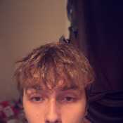 Draco