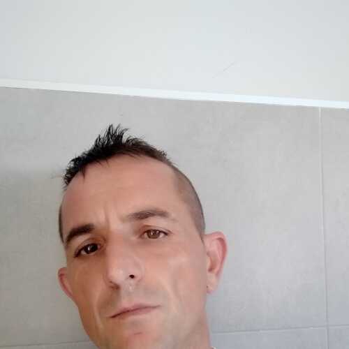 davitom825