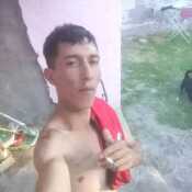 mambrinbr158