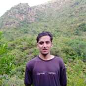 alijaan21