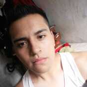 alvaradorica553