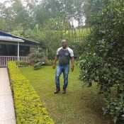 mineria
