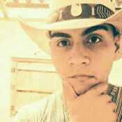 sticar393