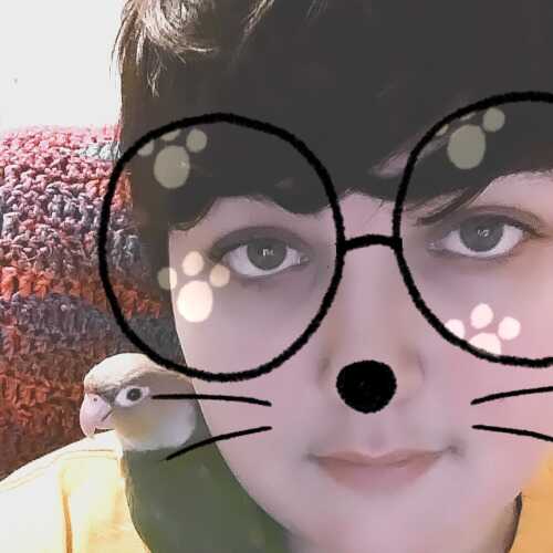 ShadyWulf