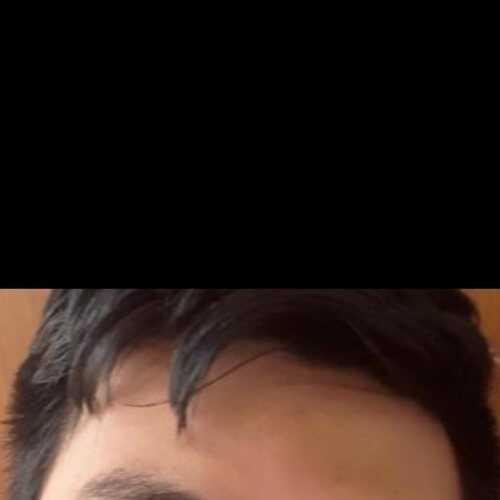 chimuelodr394
