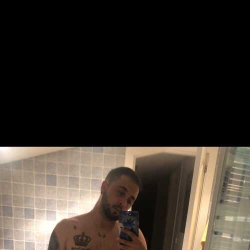 willytrans