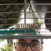 Ferruco
